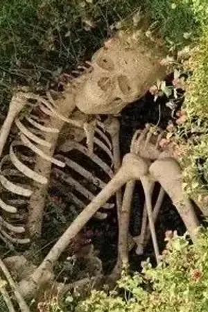 ปกนิยาย Bones and Bloom | iruma-kun fanfiction