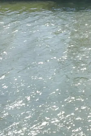 ปกนิยาย แมลงไร้สมองพร่องหัวใจ | Dishearten Dumbass