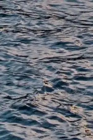 ปกนิยาย คลังรวมฟิคของลิน