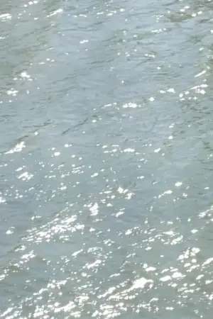 ปกนิยาย แมลงไร้สมองพร่องหัวใจ | Dishearten Dumbass