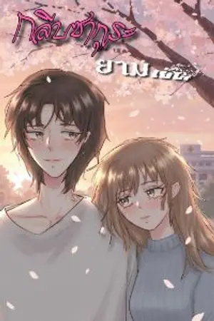 ปกนิยาย กลีบซากุระยามเย็น