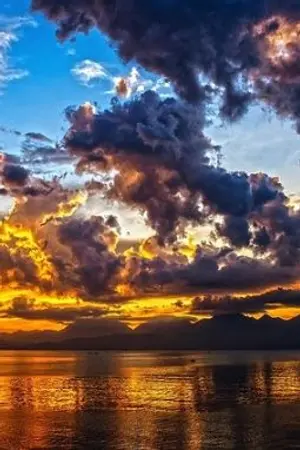 ปกนิยาย (reborn) เพื่อนข้างบ้านฮิบาริ