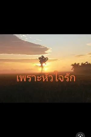 ปกนิยาย .เพราะหัวใจรัก.