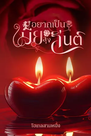 ปกนิยาย อยากเป็นเมียลุงสันต์