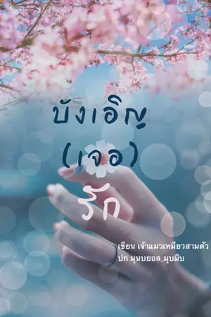 ปกนิยาย บังเอิญ(เจอ)รัก