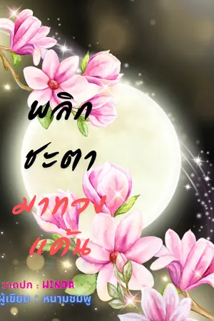 ปกนิยาย พลิกชะตามาทวงแค้น