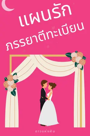 ปกนิยาย แผนรักภรรยาตีทะเบียน