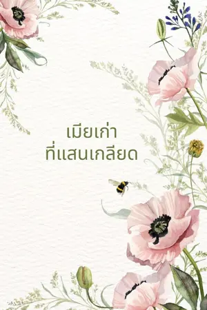 ปกนิยาย เมียเก่าที่แสนเกลียด