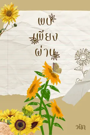 ปกนิยาย พบเพียงผ่าน