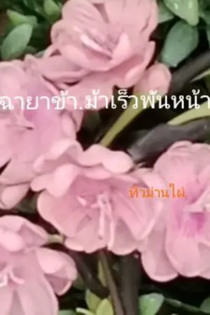 ปกนิยาย ฉายาข้า.ม้าเร็วพันหน้า