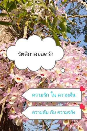 ปกนิยาย รัตติกาลยอดรัก