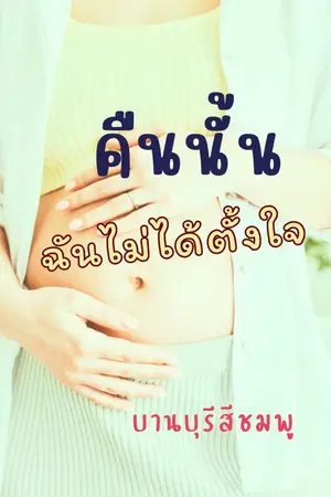 ปกนิยาย คืนนั้นฉันไม่ได้ตั้งใจ (ลงให้อ่านฟรีจนจบก่อนติดเหรียญ)