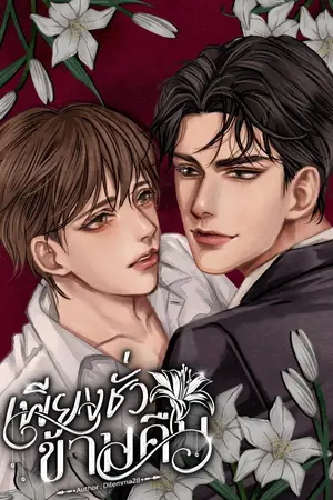 ปกนิยาย เพียงชั่วข้ามคืน [MPREG]