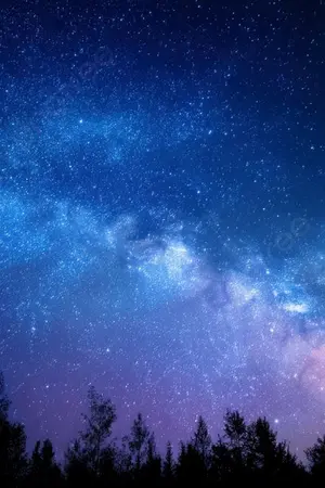 ปกนิยาย ภพรักผ่านม่านรัตติกาล