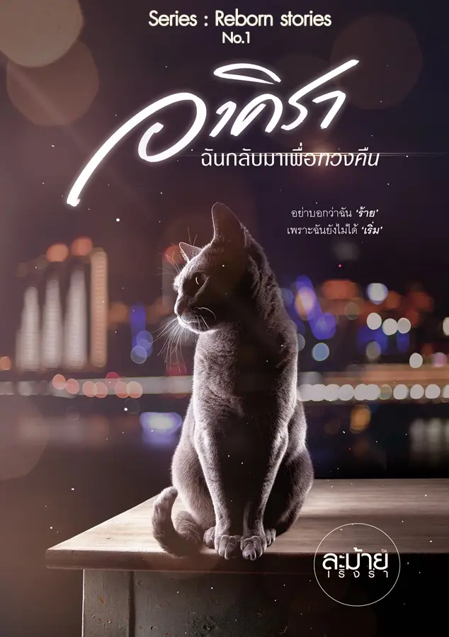 ปกนิยาย