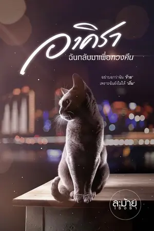 ปกนิยาย อาคิราฉันกลับมาเพื่อทวงคืน