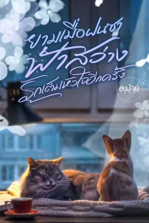 ปกนิยาย ยามเมื่อฝนซา ฟ้าสว่าง รักเต็มหัวใจอีกครั้ง