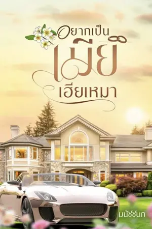 ปกนิยาย อยากเป็นเมียเฮียเหมา