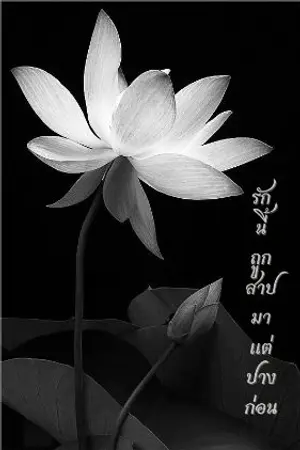 ปกนิยาย รักนี้ถูกสาปแต่ปางก่อน