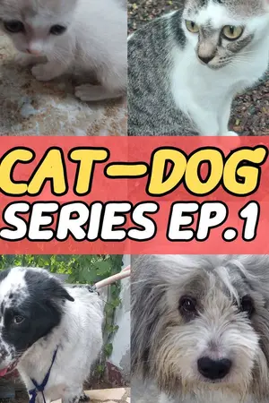 ปกนิยาย CAT - DOG SERIES