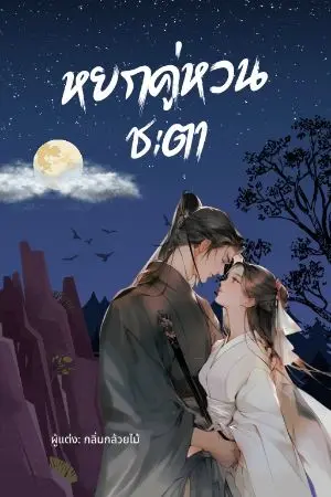 ปกนิยาย หยกคู่หวนชะตา