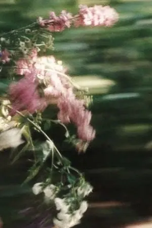 ปกนิยาย MHA | the mad dog & the garden hound (bakugou x oc)