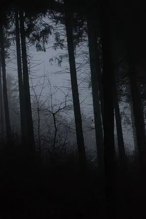 ปกนิยาย { Identity V } คฤหาสน์โอเลทัสปริศนาที่บิดเบี้ยว