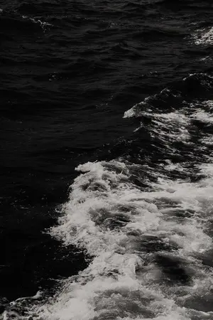 ปกนิยาย Fic harry potter || It’ all lies, darling.#ทั้งหมดมันคือคำโกหกนะที่รัก