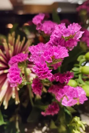 ปกนิยาย ความเอ๋ย ความรัก