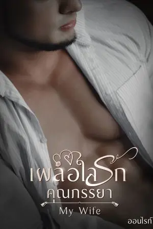 ปกนิยาย เผลอใจรักคุณภรรยา My Wife