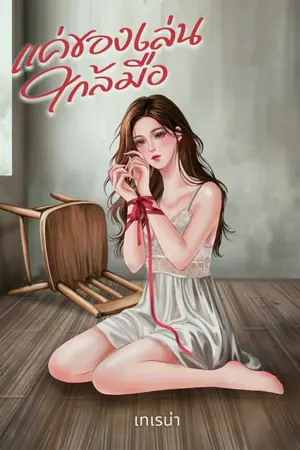 ปกนิยาย แค่ของเล่นใกล้มือ
