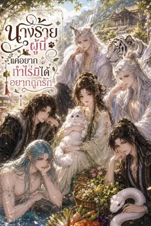 ปกนิยาย