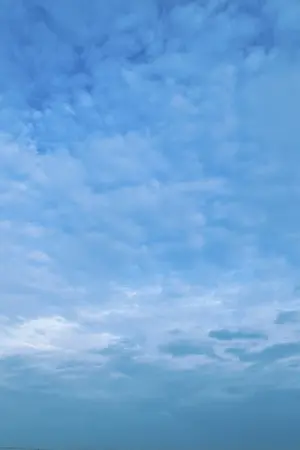 ปกนิยาย กับดักรักหนุ่มบาร์โฮส