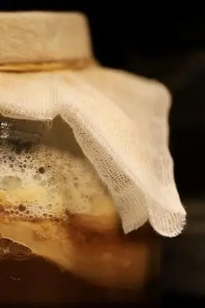 ปกนิยาย สมบัติเสือ.