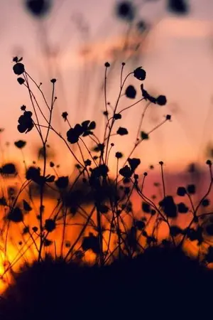 ปกนิยาย เทพเซียนหลงยุค2026