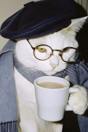 ปกนิยาย ทะลุมิติมาในร่างเด็กผู้หญิงเผ่าลูนาเรีย ในโลกวันพีช