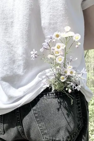 ปกนิยาย นครมะม่วงฟ้าลั่น