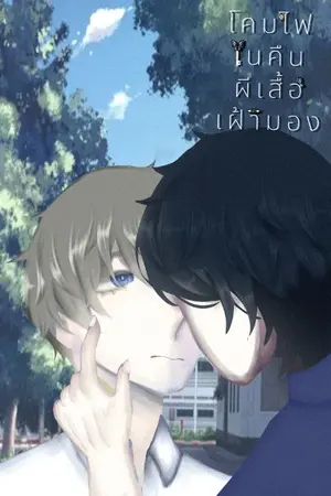 ปกนิยาย โคมไฟในคืนผีเสื้อเฝ้ามอง