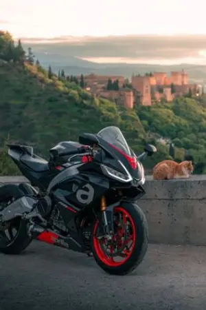 ปกนิยาย Secret of Forward: The story of this life