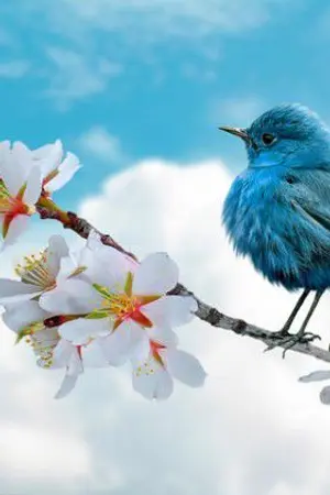 ปกนิยาย นางฟ้าของอนันดา