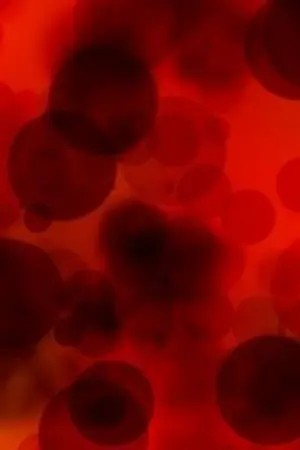 ปกนิยาย ไลฟ์ตามสั่ง