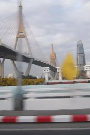 ปกนิยาย คาเฟ่ย่านสุนทรี /ครั้งหนึ่งฉันเคยรู้จักสัตว์ขนปุย สองขา หูกระต่าย หางแมว (29.5)