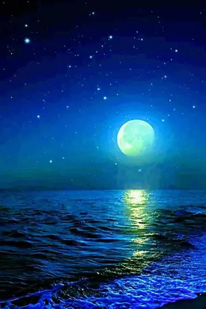 ปกนิยาย เฉินฮ่าวเทียนทะลุมิติ