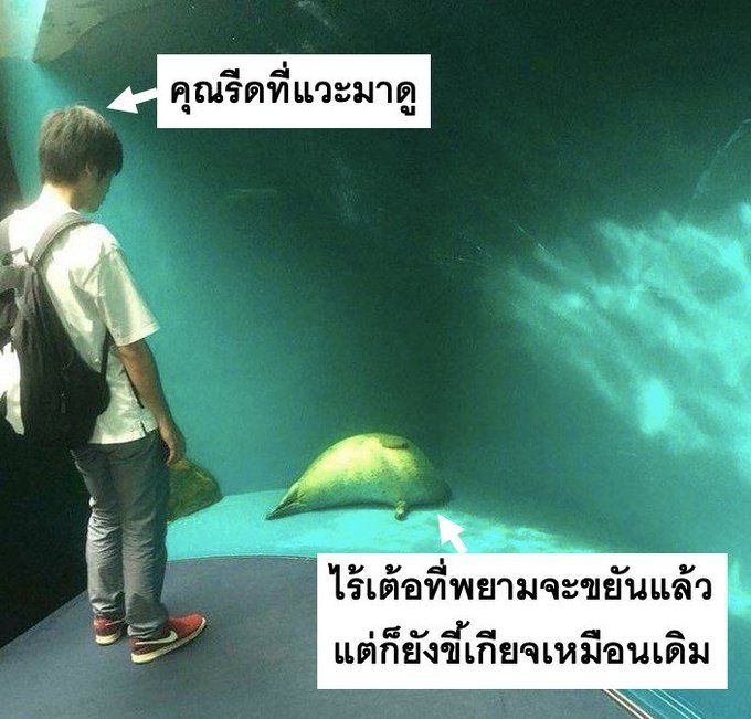 ​เปิ๸รูปภาพ