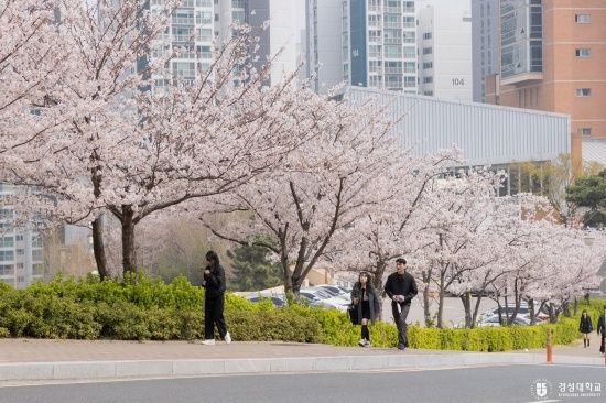 Photo Credit: 경성대학교 Kyungsung University  (Facebook)