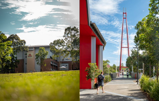 Photo Credit: Griffith University (Facebook)