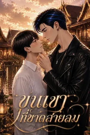 ปกนิยาย ขุนเขาที่ขาดสายลม