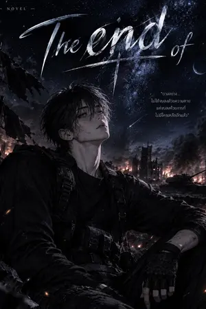 ปกนิยาย The end of