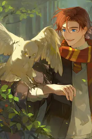 ปกนิยาย (HP) GGAD Second Story