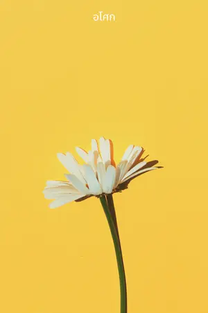 ปกนิยาย เพียงคุณเท่านั้น